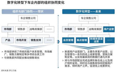 深度解析，002153石基信息，数字化转型引领的未来之路