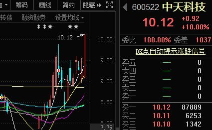 深度解析，探究金螳螂股票的投资价值与市场前景