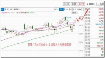 揭秘600617，探索股市中的稳健蓝筹，你的财富导航船