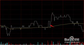 掌握股票600684的投资秘籍，从入门到精通的全方位指南