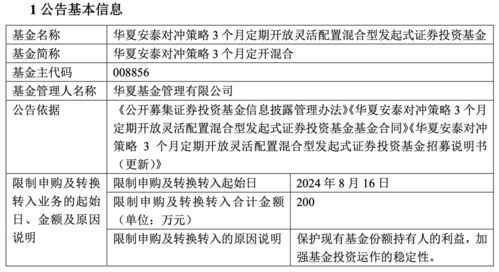 网上申购基金，费用与策略全解析