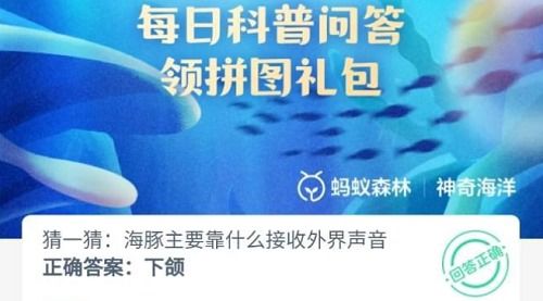 生物科技的瑰宝，探索生物制药板块的奇妙之旅