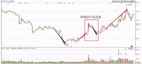 深度解析，解读中国股市中的权重股及其投资策略