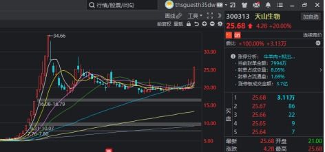 深度解析，股票600121——挖掘价值与投资机遇