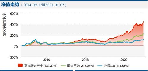 探索投资之路，深度解析嘉实成长基金的策略与价值