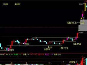 掌握135战法，解锁高效投资策略的秘密武器