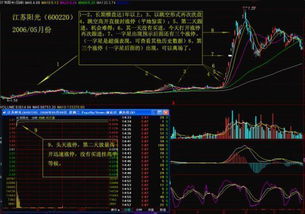 掌握135战法，解锁高效投资策略的秘密武器