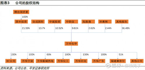 深度解析，解锁600409三友化工的投资密码——从原材料到循环经济的绿色转型