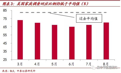 揭秘经济脉搏，美国非农数据背后的就业心跳时刻