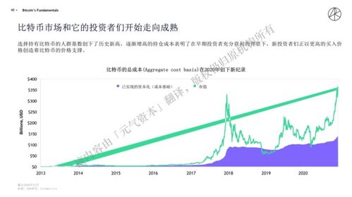 掌握未来趋势，深度解析金发科技股票的投资洞察