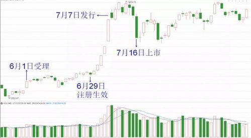 深市新股市场的繁荣与机遇，探索新时代资本市场的引擎