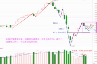 深度解析，佐力药业股票投资攻略——从稳健到机遇的探寻