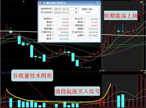 深度解析，000829股票资金流向的秘密武器——投资决策指南