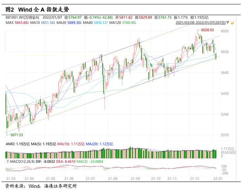 深度解析，600112股票投资攻略——从基本面到技术面的全面指南