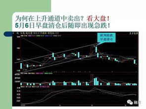 深度解析与投资指南，探秘300100股票的投资之道