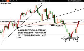 深度解析与投资指南，探秘300100股票的投资之道