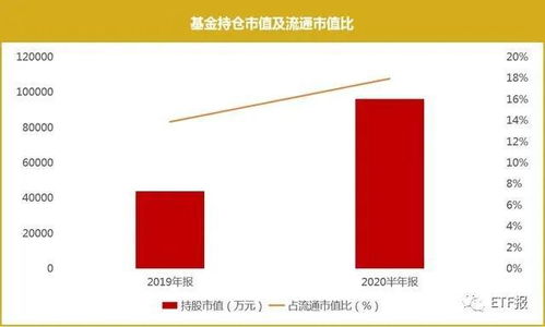 深度解析与投资指南，探索110029基金的市场价值与投资策略