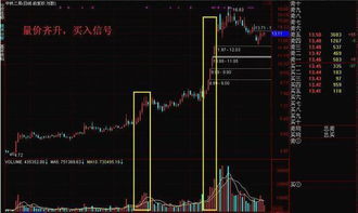 底部放量下跌，解读市场信号，应对策略与深度解析