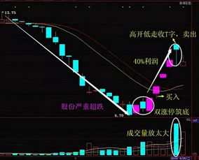 深度解析，零零五五五——探索中国股市中的独特魅力与投资攻略