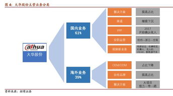 深度解析，002236大华股份，安防龙头的崛起与未来展望