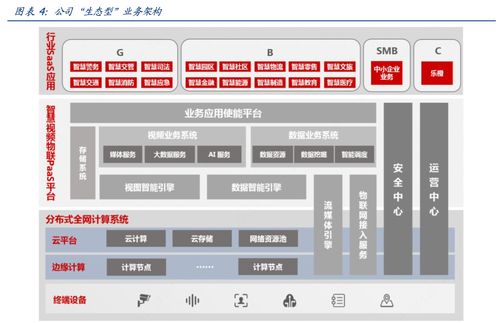 深度解析，002236大华股份，安防龙头的崛起与未来展望