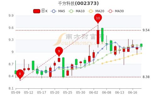 金禾实业，美味背后的投资宝藏，探索稳健增长的股票魅力