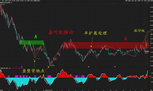 全面解析，大盘股——股市中的巨轮与市场风向标