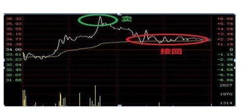 全面解析，大盘股——股市中的巨轮与市场风向标