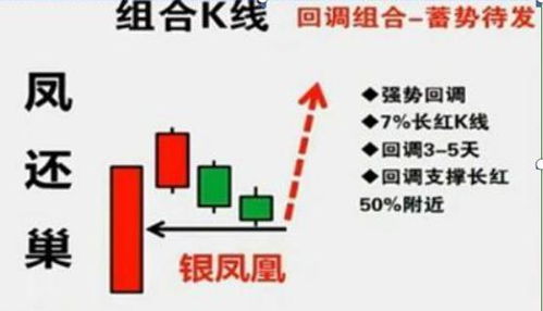 揭秘股市密码，零六零六，资金流向的脉动指南