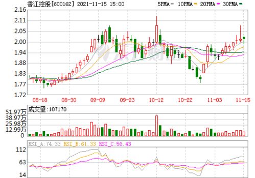 深度解析与投资指南，探秘香江控股股票的稳健之路