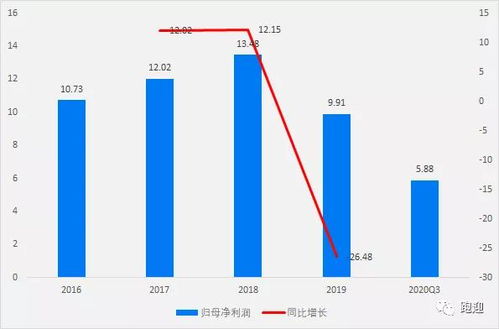 深度解析，600316——一只值得长期关注的蓝筹股投资攻略