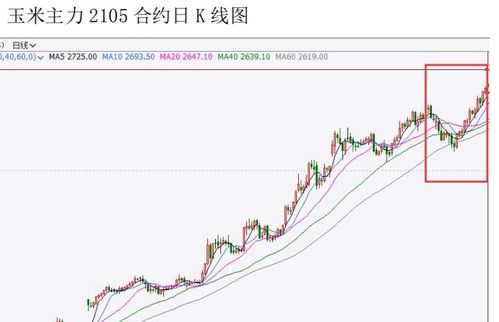 深度解析，走进荃银高科，一只农业科技领域的领航者——探究其股票投资价值