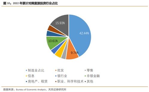 深度解析，601999——探寻中国蓝筹股的投资密码