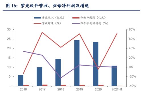 深度解析，000938紫光股份，科技巨头的崛起与未来展望