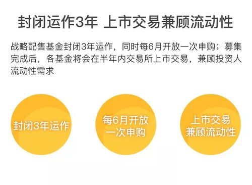 深度解析，易方达策略成长二号基金，稳健与成长的双重魅力