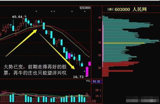 揭秘A股，走进中国股市的通俗大讲堂