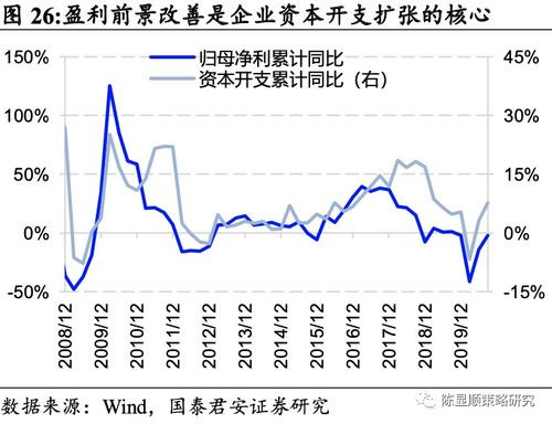 深度解析，国泰金鹏蓝筹基金——稳健投资的智慧选择