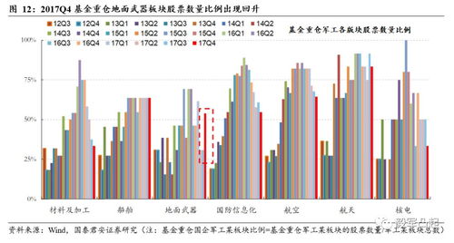 深度解析，国泰金鹏蓝筹基金——稳健投资的智慧选择