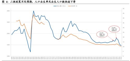 深度解析，600636——一只股票的投资指南