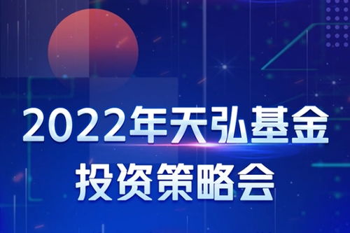 揭秘300046，你的投资指南，开启科技领航之旅