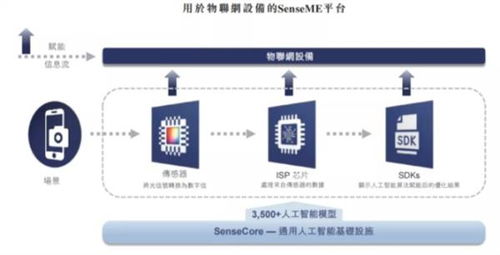 深度解析与解读，000877股吧——投资者的智慧殿堂