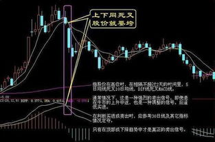 深度解析，600267股票的投资攻略与未来展望