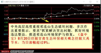 解锁投资宝藏，探索新赛股份股票的隐形魅力