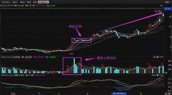 深度解析600877，挖掘这只股票的投资价值与策略