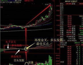 深度解析，600763股票投资攻略——从新手到进阶的全面指南