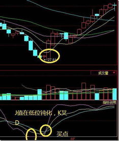 深度解析，600763股票投资攻略——从新手到进阶的全面指南