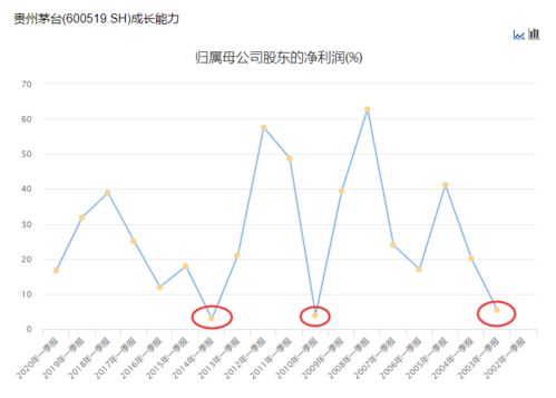 探析贵州茅台股价大跌，原因、影响与投资应对策略