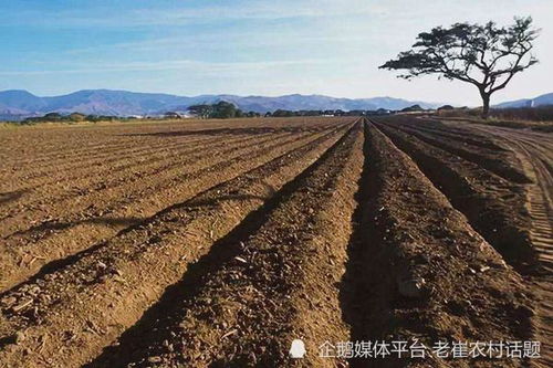 土地承包为何要延长三十年