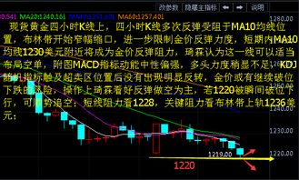 掌握股票600500，深度解析与实战策略