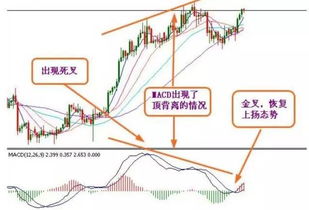 今日股市预测分析，把握市场脉搏，洞察投资先机